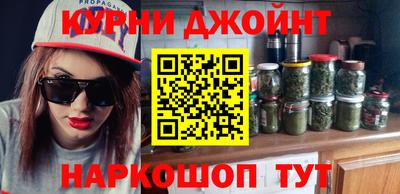 МДПВ Партизанск
