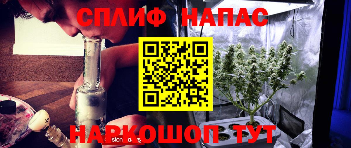 Строитель  Конопля ГИДРОПОН  Бошки Шишки гибрид  МАРИХУАНА OG Kush  Вход с VPN 